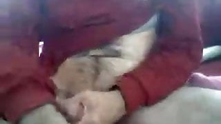 31 oğlu im