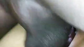 Türk bbc